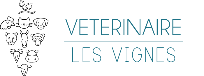 Logo cabinet vétérinaire des vignes