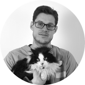 Dr Guillaume Provillard