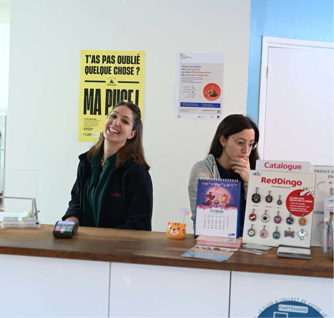 Accueil cabinet vétérinaire les vignes Pierrefeu-du-Var