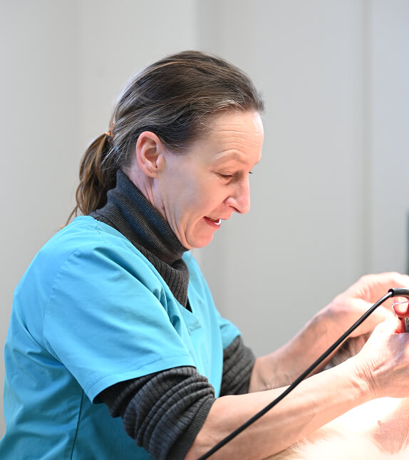 LV-Cabinet-2 Consultation vétérinaire chien