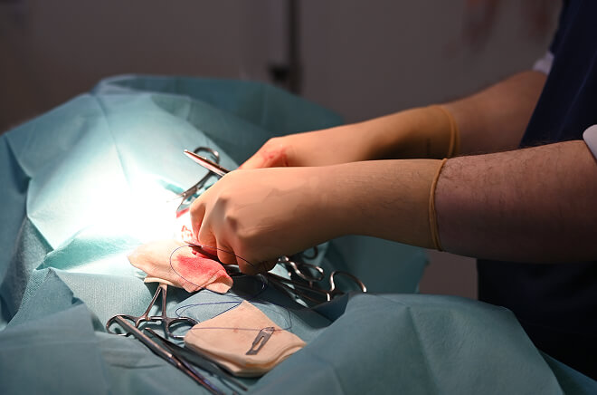 LV-Chirurgie Chirurgie vétérinaire, services vétérinaire