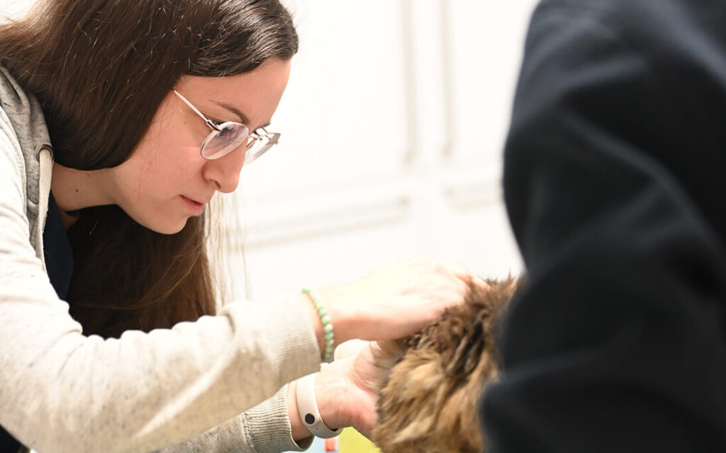 Rendez-vous vétérinaire Pierrefeu-du-Var